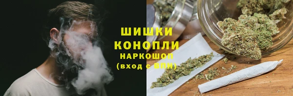 молекула духа Богородск