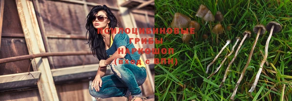 молекула духа Богородск