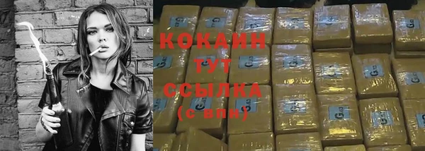 молекула духа Богородск