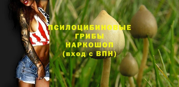 твердый Богородицк